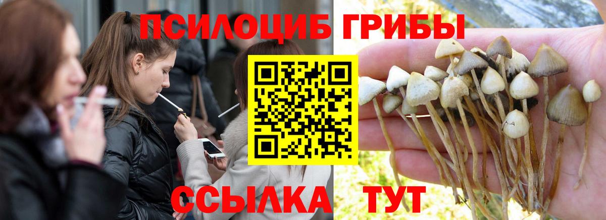 Галлюциногенные грибы GOLDEN TEACHER  Вход с VPN  Галлюциногенные грибы мицелий  продажа наркотиков  Городец 